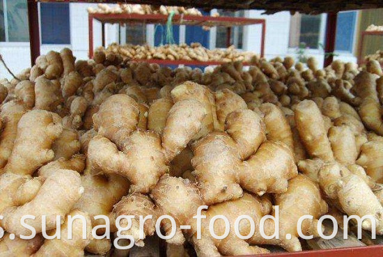 High Quality Dried Ginger